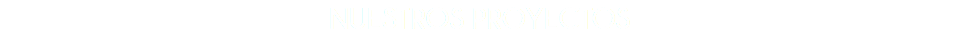Nuestros Proyectos