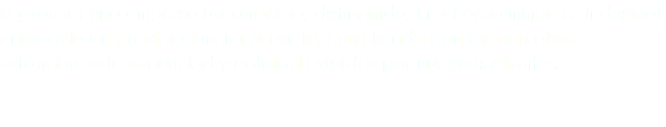 Lograr ser una empresa reconocida, distinguida, En el área minera e industrial enfocada en prestar el mejor servicio, cumpliendo con los más altos estándares de seguridad y calidad exigidos por nuestros clientes. 